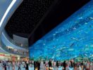 Dubai Mall Image (1)