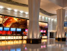 Dubai Mall Image (8)