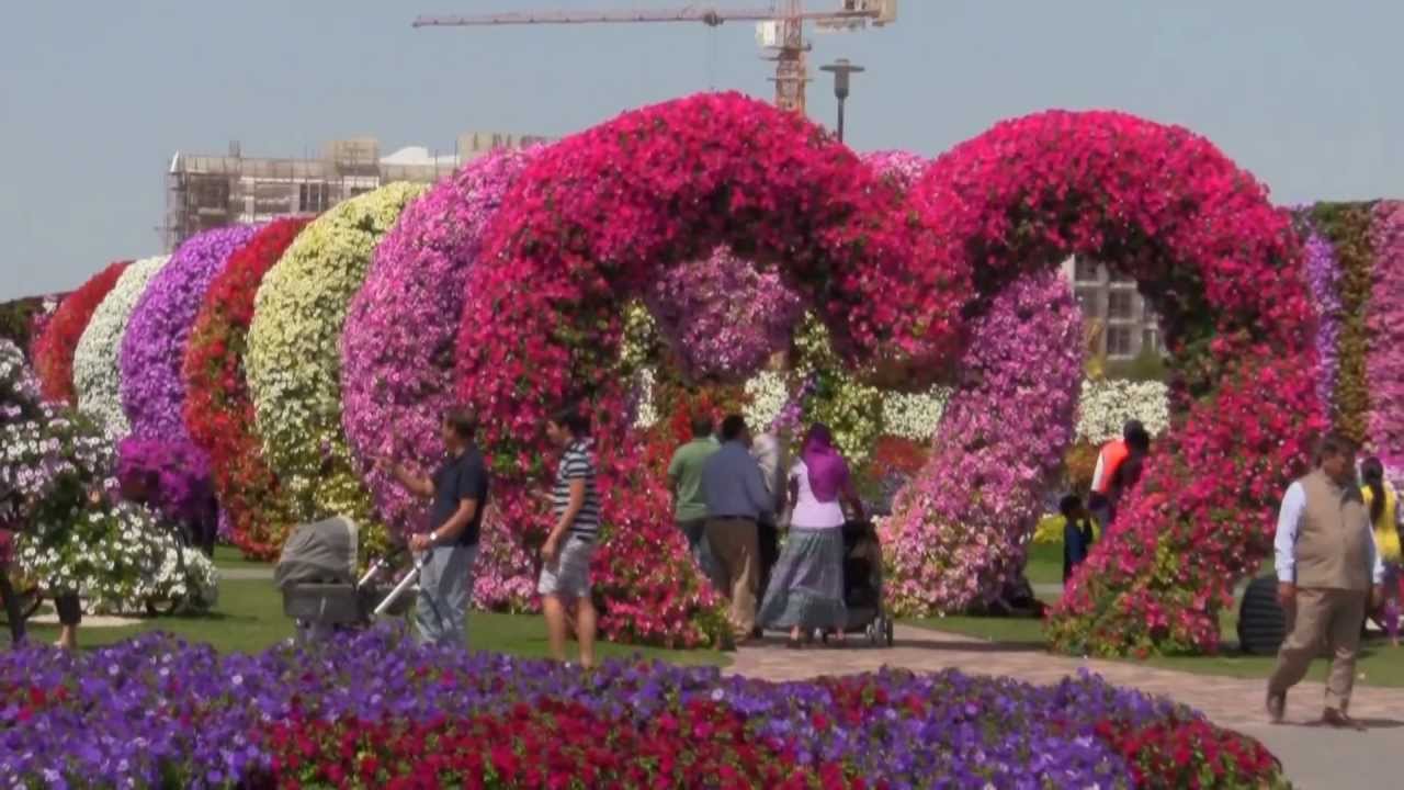 Miracle Garden Video – Dubai