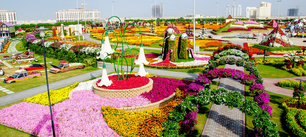 Miracle Garden Pictures – Dubai